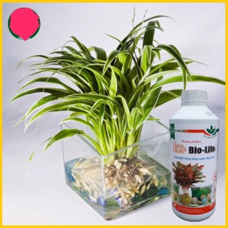 Dung Dịch Thủy Canh Bio Life 1 Lít