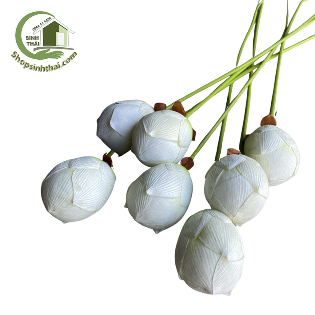 Cành nụ hoa sen giả màu trắng - cành sen vải lụa cao cấp