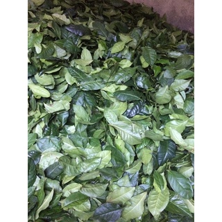 100gram bột trà xanh nguyên chất
