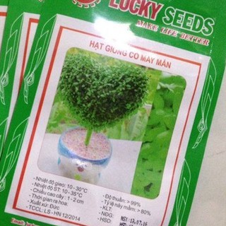 Hạt giống Cỏ may mắn - gói 1gr