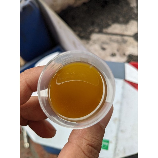 NEEM OIL HỮU CƠ ĐÃ NHŨ HÓA - Phòng & Trị : Nhện đỏ-Rệp-Trĩ-Sâu bệnh trên Hoa hồng-Phong lan-Cây cảnh