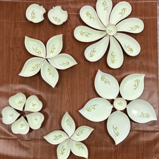 Bộ đĩa cánh hoa