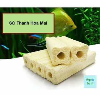 Sứ Thanh Hoa Mai (kích thước: 16*4*4cm)