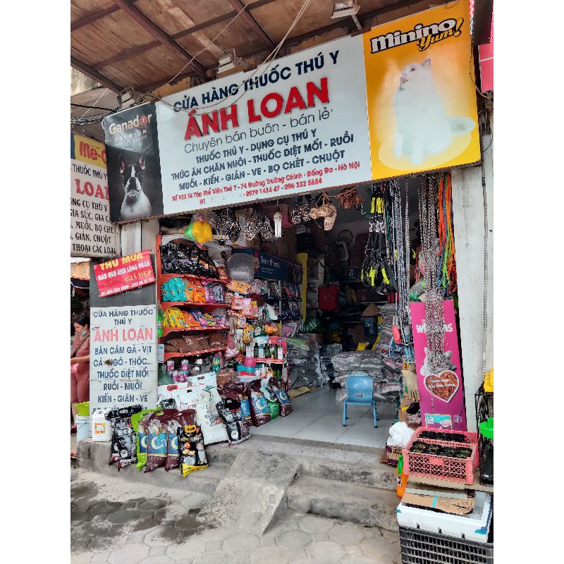 Đồ chơi cho mèo mọi lứa tuổi