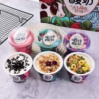 Sữa chua ngũ cốc các vị ( Có sẵn)