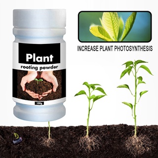 Fast Rooting Powder Hormone Powder Rooter Seedling Germination Cutting Plant