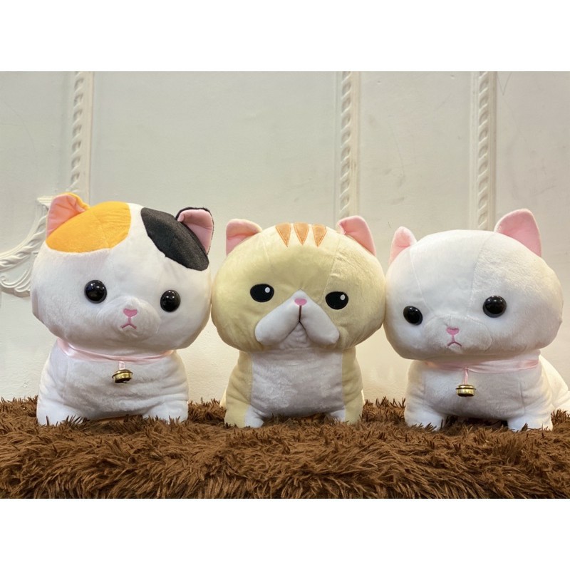 Gấu Bông Mèo Con