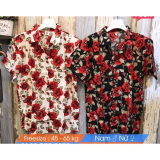 Áo trái cây hoa hồng ( hình thật)