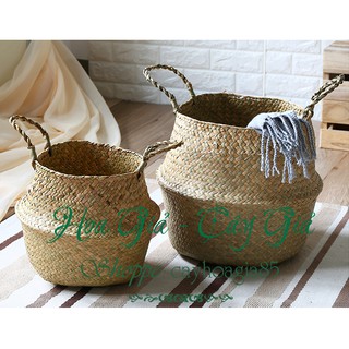 Giỏ mây _ Trồng cây cắm hoa trang trí