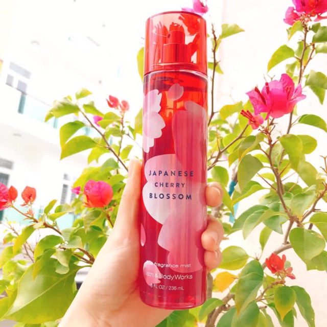 ♡♡ Xịt Thơm Toàn Thân Bath And Body Works - Jpanese Cherry Blossom (30ML-50ML-100ML-250ML) ♡♡