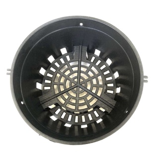 Combo 50 chậu f21 đen