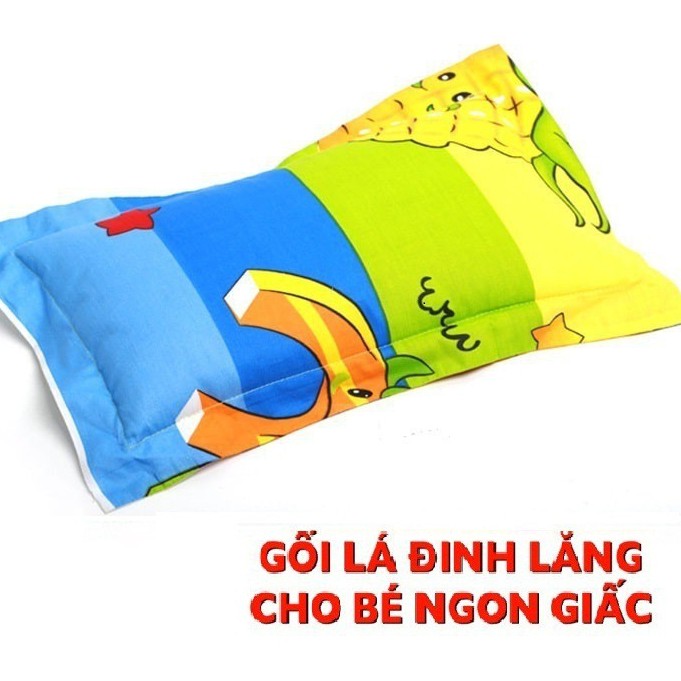 Gối Đinh Lăng Chống Mồ Hôi Trộm,Ngủ Sâu Giấc Cho Bé Từ Sơ Sinh Tới 5 Tuổi(size1-2-3y)