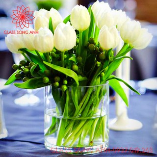 Bình Bông Thủy Tinh Trang Trí D10x10, Bình Cắm Hoa Thủy Tinh Trụ, Lọ Hoa Hình Trụ, ống trụ tròn thủy tinh