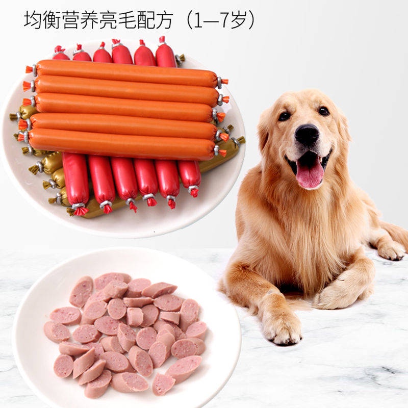 Dog Ham Xúc xích Teddy Gold Hair Pupgie Cat Snacks Canxi Pet cung cấp xúc xích Gói thức ăn cho chó