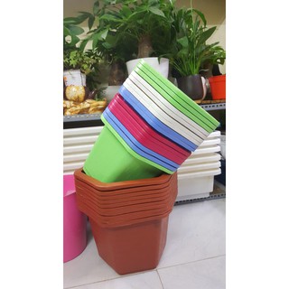 Bộ 10 chậu lục giác 34 x 23 cm