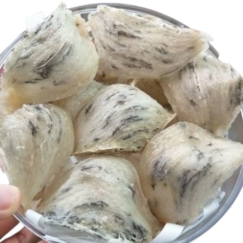 Yến Sào Khánh Hòa 100g Yến Thô Nguyên Tổ Khánh Hòa Yến Sào Loại 1 Nguyên Chất  Tổ Yến Thô Ít Lông