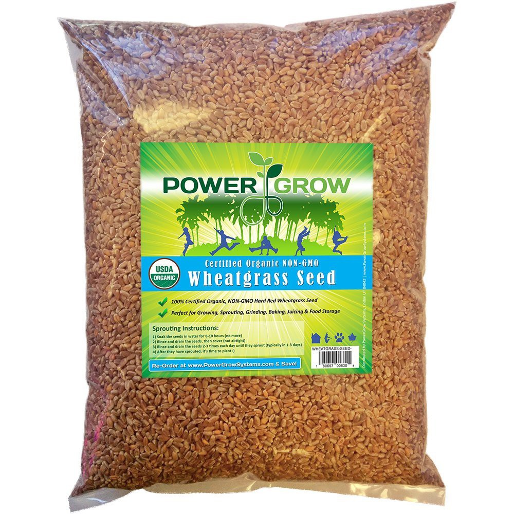 Hiệu Power Grow Hạt giống lúa mì hữu cơ