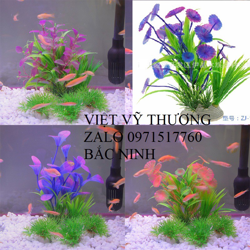 Cỏ hoa trang trí bể cá nhiều màu 15cm