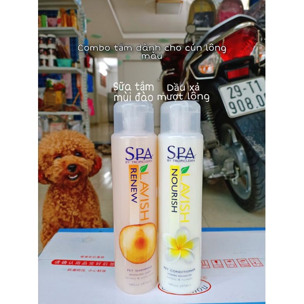 Combo sữa tắm + dầu xả cho cún lông nâu SPA