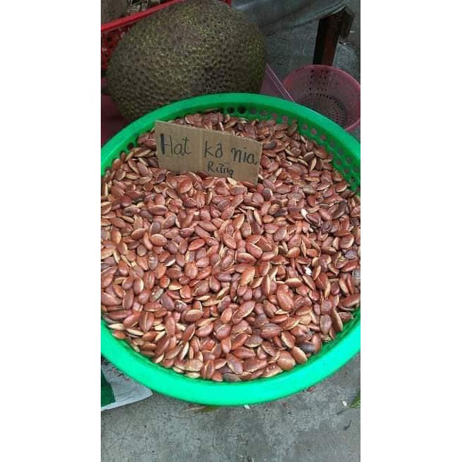 Hạt kơnia rừng sống 500gr
