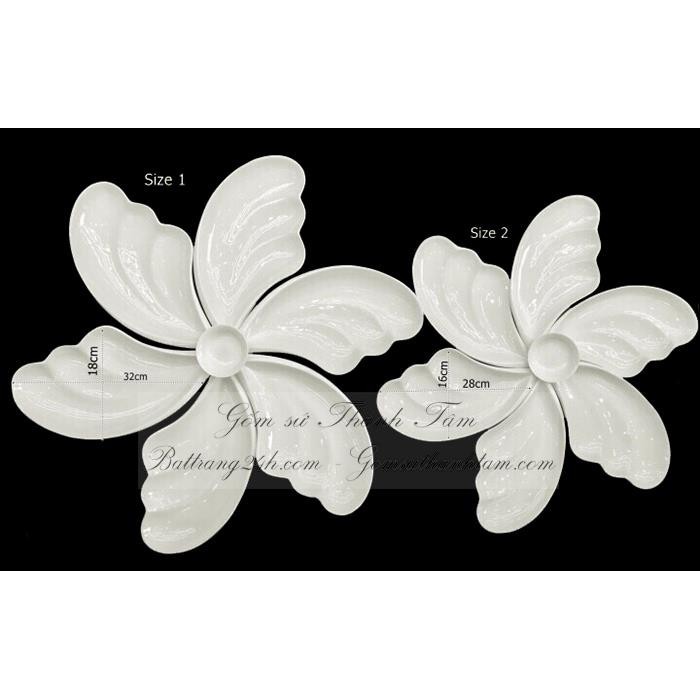 Set đĩa cánh tiên gốm sứ Bát Tràng cao cấp trắng trơn 2 size