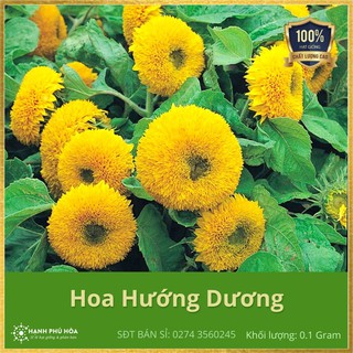Hạt Giống Hoa Hướng Dương Gấu Bông NNX 0.1g/Gói - Tỉ Lệ Nảy Mầm Cao, Thu Hoạch Quanh Năm, Ăn Ngon Ngọt, Tốt Cho Sức Khỏe