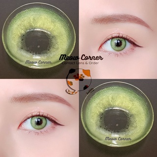 Lens Sorayama 4 màu đủ độ cận