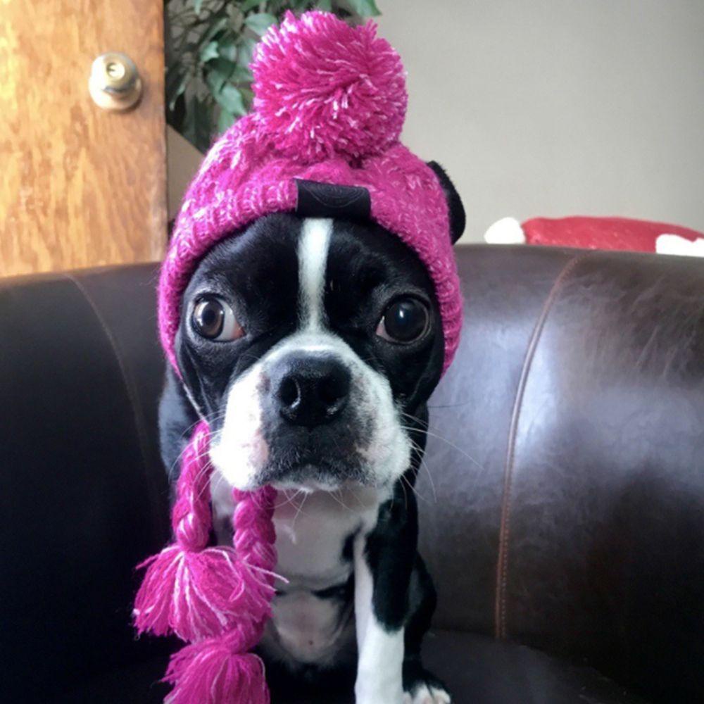 GIOVANNI Mũ Mềm Mại Chống Gió Giữ Ấm Cho Thú Cưng