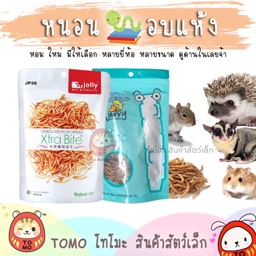 Tomo Shop Bánh Giun Jolly Jerry Và Sáp Cricket Bẫy Chim Côn Trùng Nhím Hamster Đường Glider