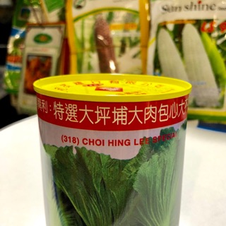 HẠT GIỐNG CẢI BẸ DƯA TOÀ SẠI HỒNG KÔNG (BẸ TRÁM)