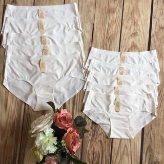 Set 10 quần lót su đúc 5033