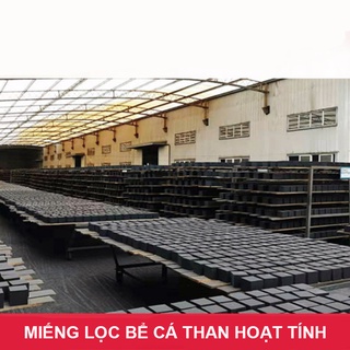 Than hoạt tính lọc bể cá_Magic Cube
