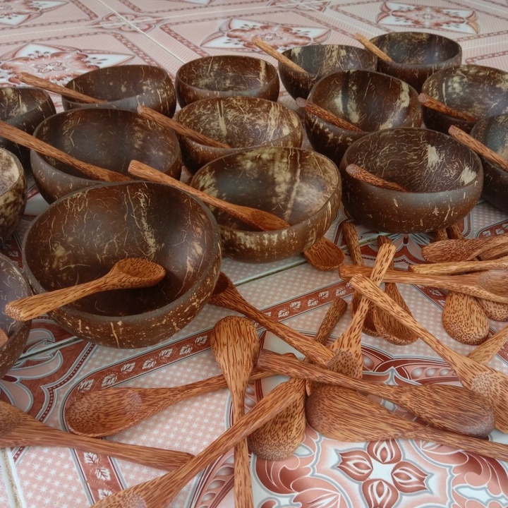 Bộ Chén/Bát gáo dừa + Muỗng gỗ dừa, Hàng đẹp loại 1 dùng pha bột mask, đựng trái cây, salad, cơm