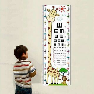 Decal thước đo chiều cao