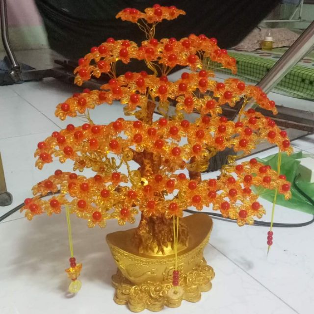Cay tai loc