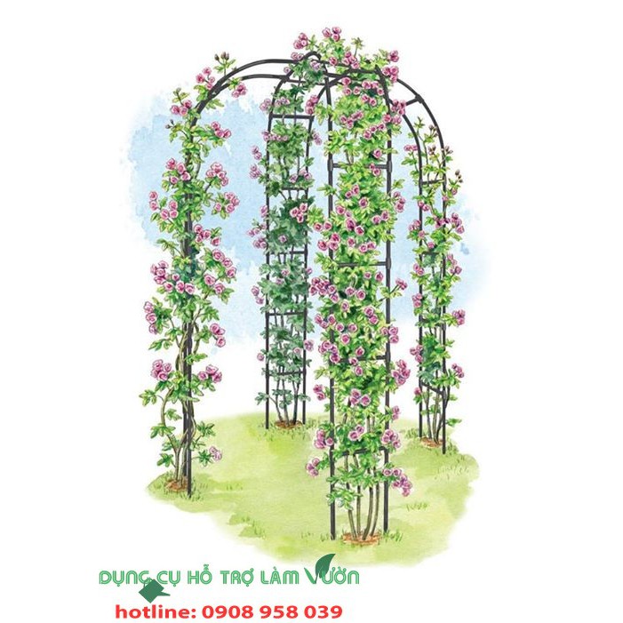 Cổng cho hoa hồng leo của Nhật kích thước cao 200cm rộng 150cm sản phẩm chất lượng dùng từ 5 năm