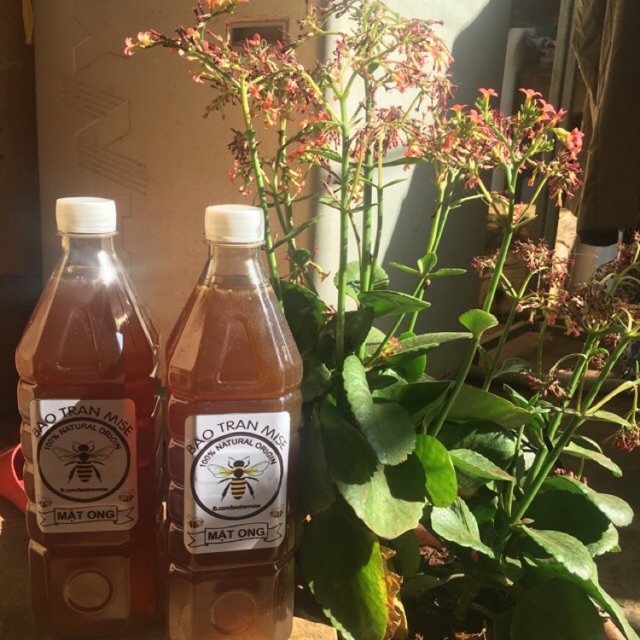 Mật ong hoa cà phê 1000ml