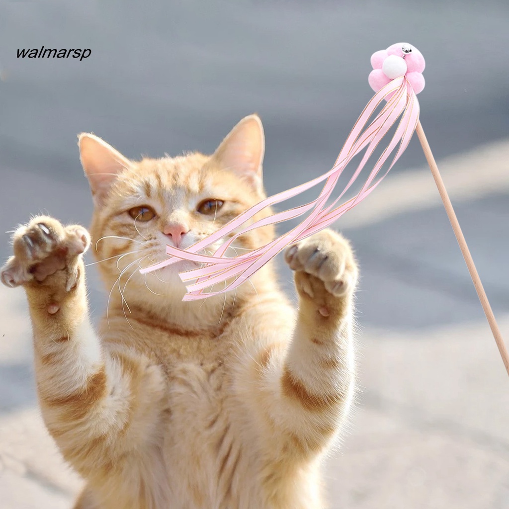 Gậy đồ chơi vui nhộn dành cho mèo cưng