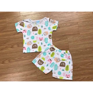 Bộ cotton giấy cong91