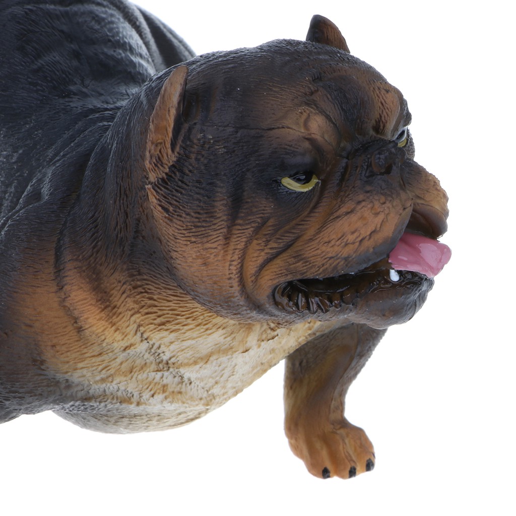 Mô hình động vật hoang dã chân thật