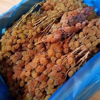 NHO KHÔ ÚC NGUYÊN CÀNH