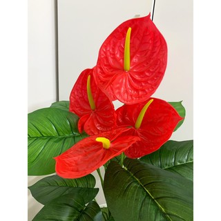 Cây giả- Cây môn đỏ 70cm