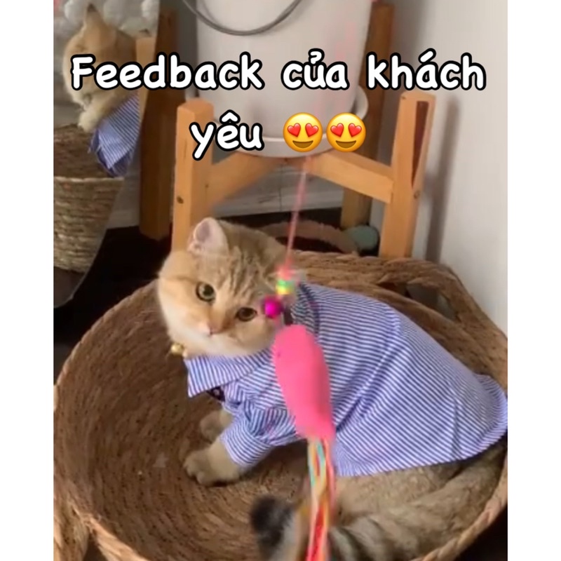 Áo sơ mi sọc thêu trái tim sang trọng cho chó mèo