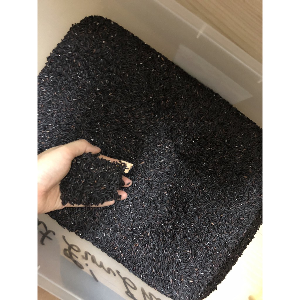 GẠO LỨT ĐEN (TÍM THAN) DẺO THƠM AN TOÀN SỨC KHOẺ | BigBuy360 - bigbuy360.vn