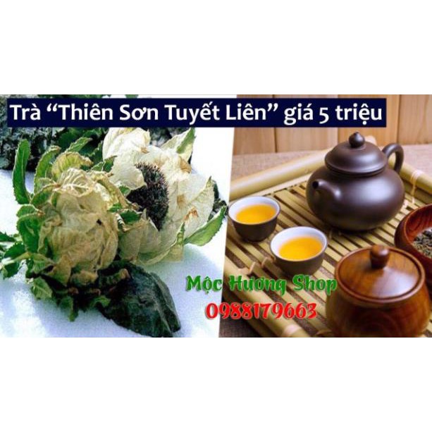 Thien SÆ¡n Tuyáº¿t Lien Hoa Shopee Viá»‡t Nam