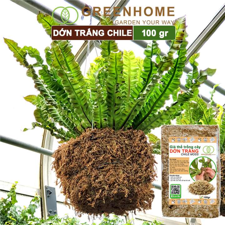 Giá thể dớn trắng Greenhome, gói 100gr, đã qua xử lý, giữ ẩm tốt, kháng khuẩn tự nhiên, trồng lan, kiểng lá