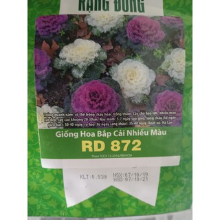 Hạt giống hoa bắp cải nhiều màu