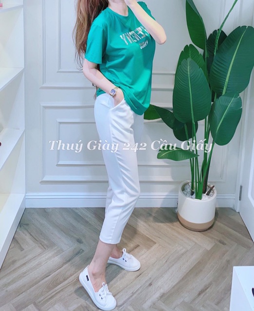 Bán sỉ áo phông xanh siêu hot | BigBuy360 - bigbuy360.vn