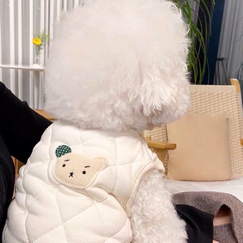 Áo gile trần bông lót lông cho thú cưng hình gấu