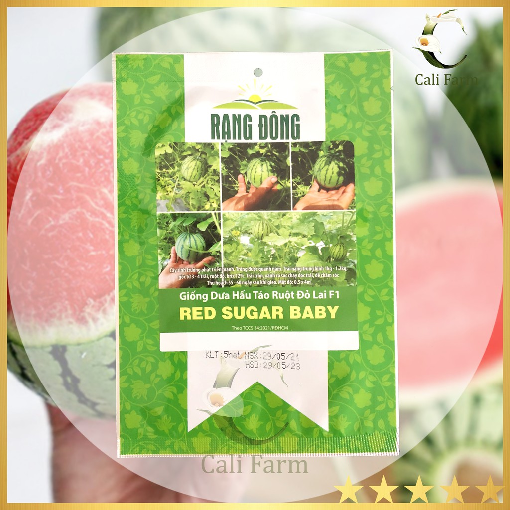 Hạt Giống Dưa Hấu Táo Ruột Đỏ Red Sugar Baby 5 hạt